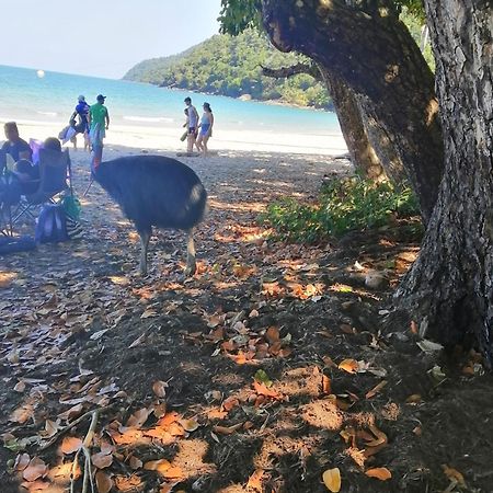 Possum Stay Innisfail Bagian luar foto