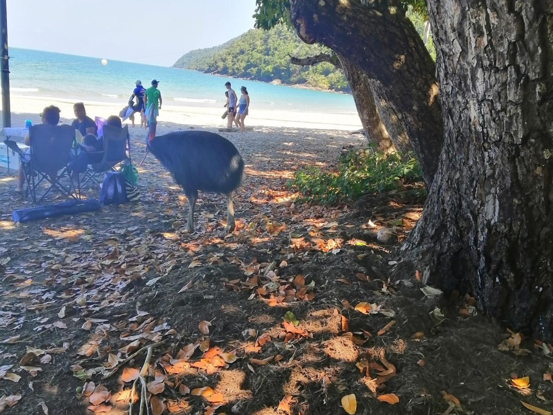 Possum Stay Innisfail Bagian luar foto